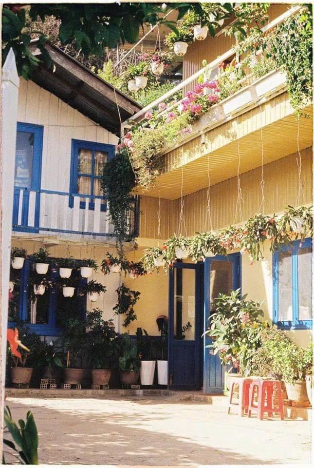 Cần tiền Bán gấp Homestay nhà gỗ sân vườn tại khu vực An Bình, P3, Đà Lạt Giá chỉ 8.6 tỷ - Ảnh 2